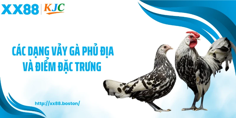 Các dạng vảy gà phủ địa và điểm đặc trưng 
